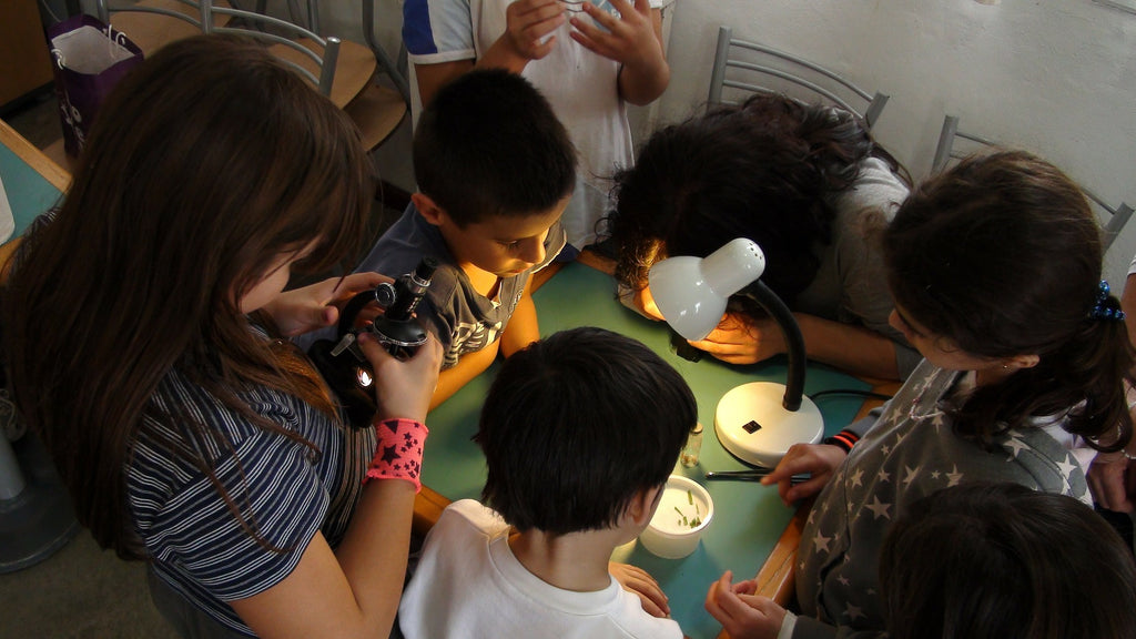 3 Reasons To Invest In A Microscope This School Year