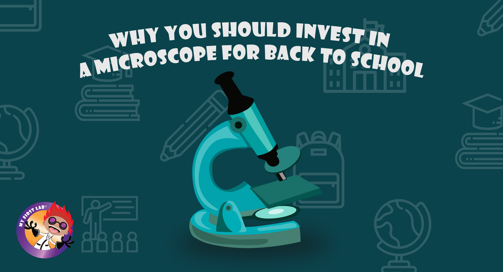 Why You Should Invest In A Microscope Back To School