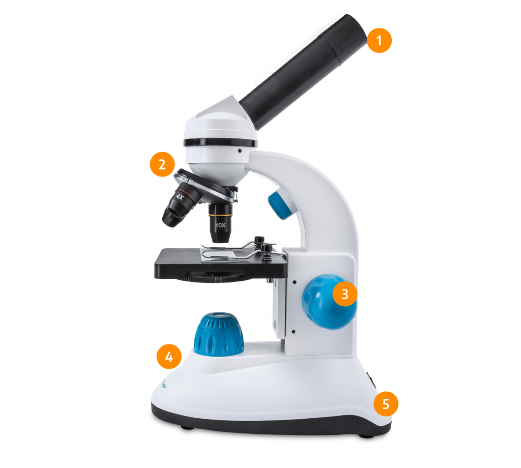 Visual Scope Microscope Mega Duo Scope Microscope for Children & Classrooms – My First Lab
