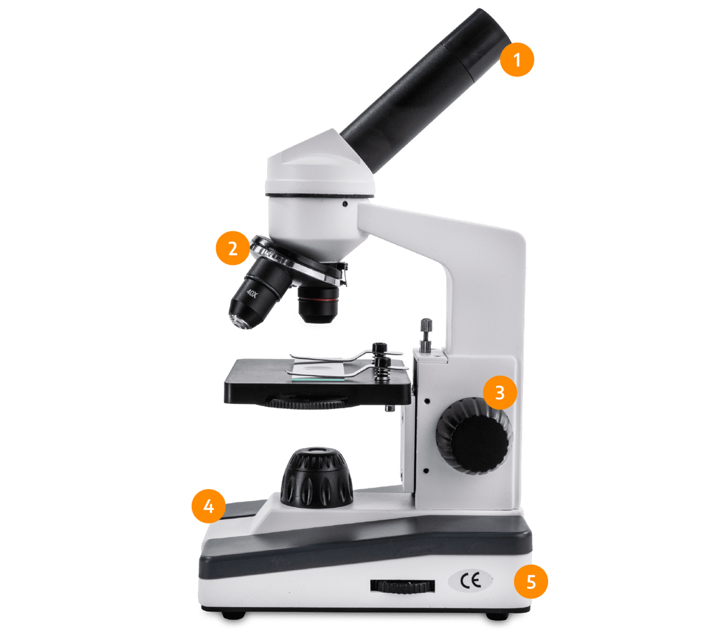 Ultimate Microscope - Compound Microscope – My First Lab