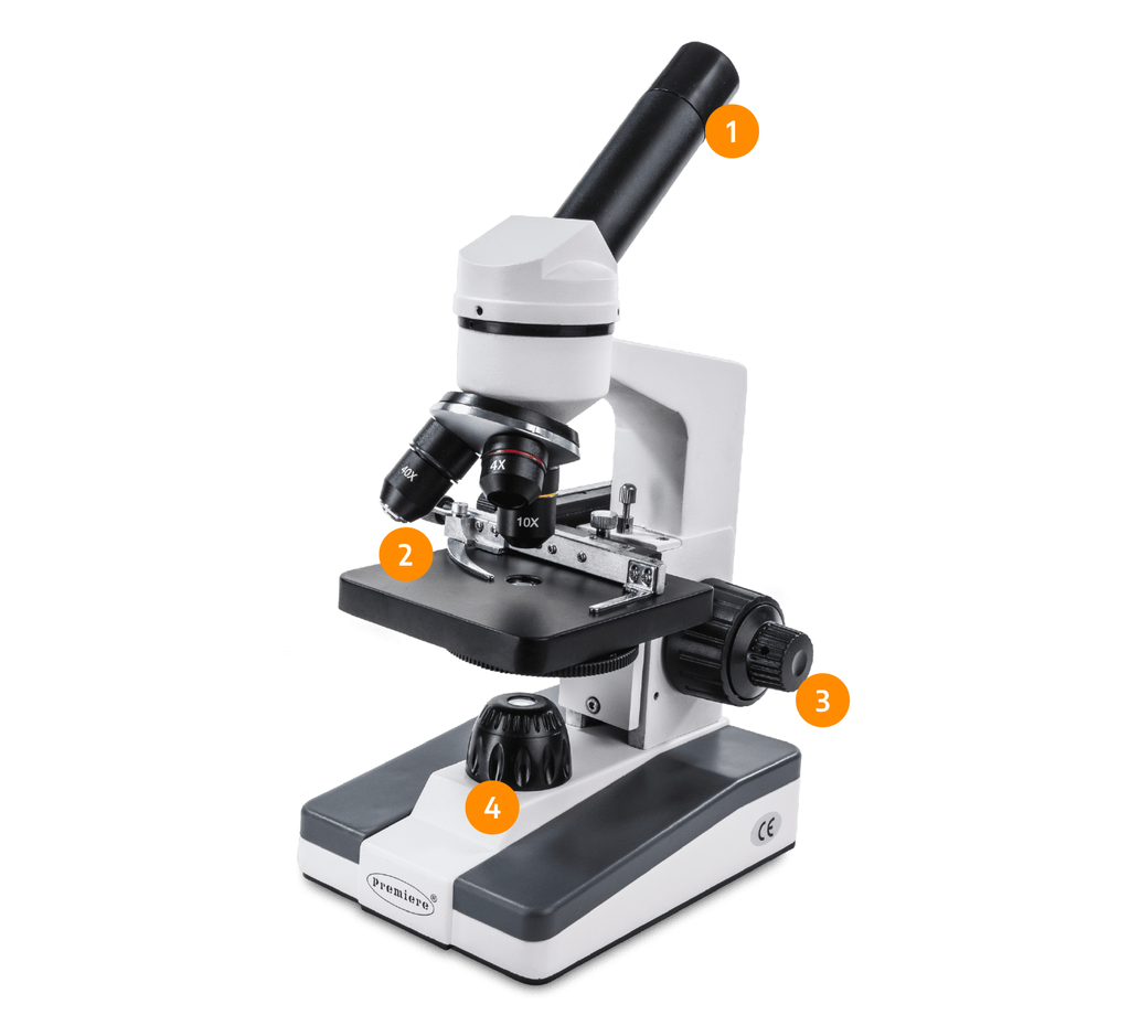 Microscope Camera Mt First Lab Student Microscope w/ LED & mechanical stage – My First Lab